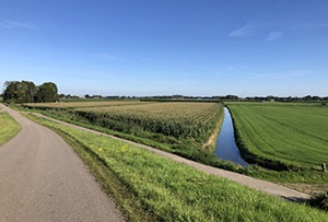 Voorwaarden kavelruilvrijstelling luisteren nauw